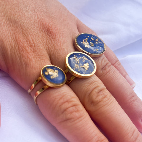 Bague Krishna Bague Krishna